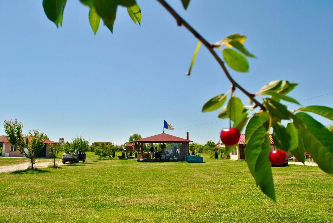 Camping La Foisor Turda Buitenkant foto