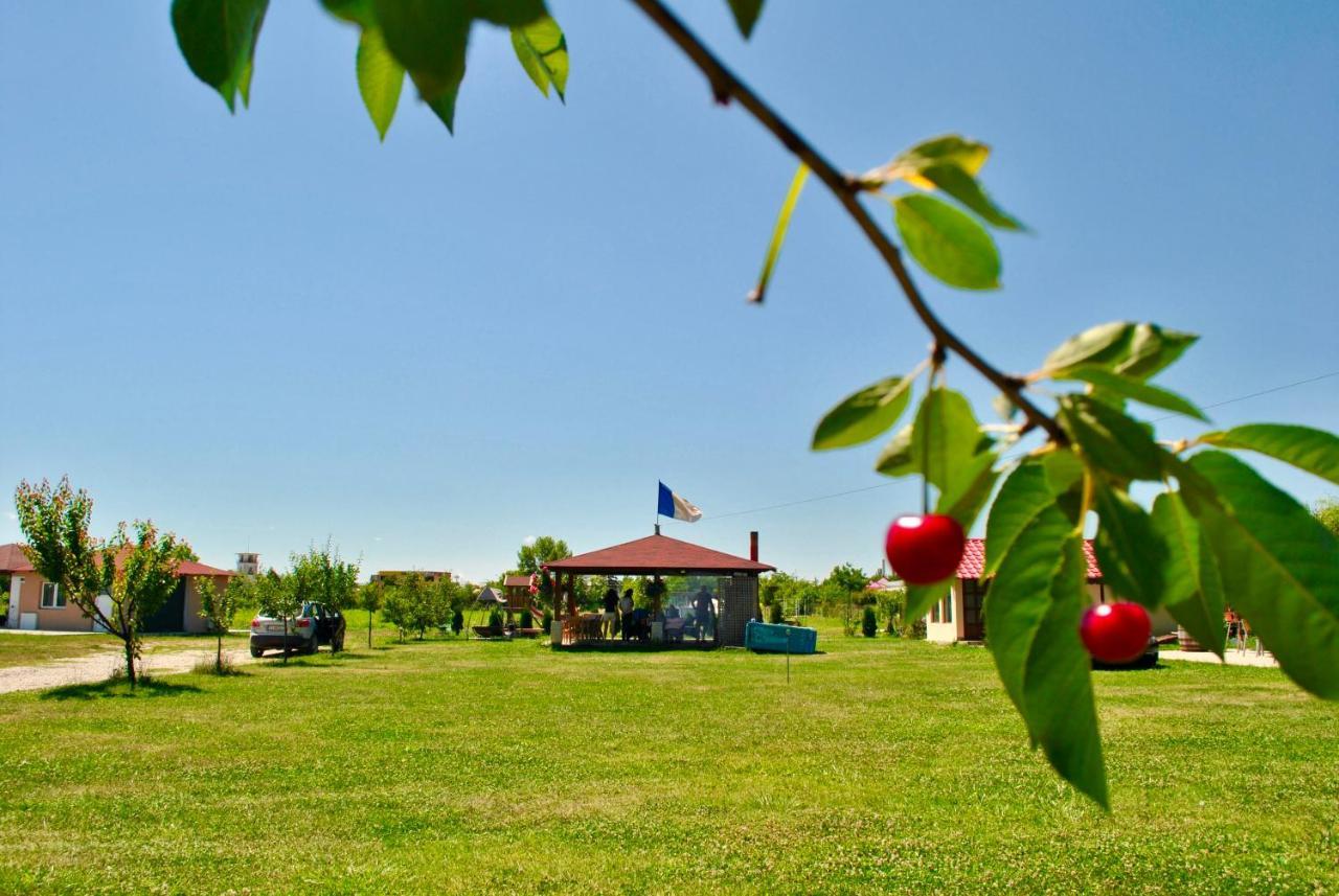 Camping La Foisor Turda Hotel Buitenkant foto