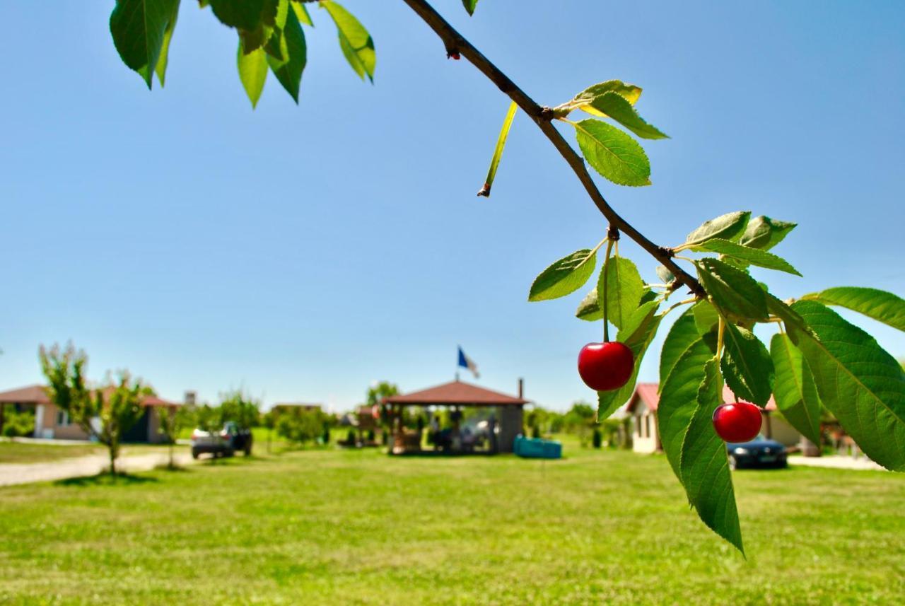 Camping La Foisor Turda Hotel Buitenkant foto