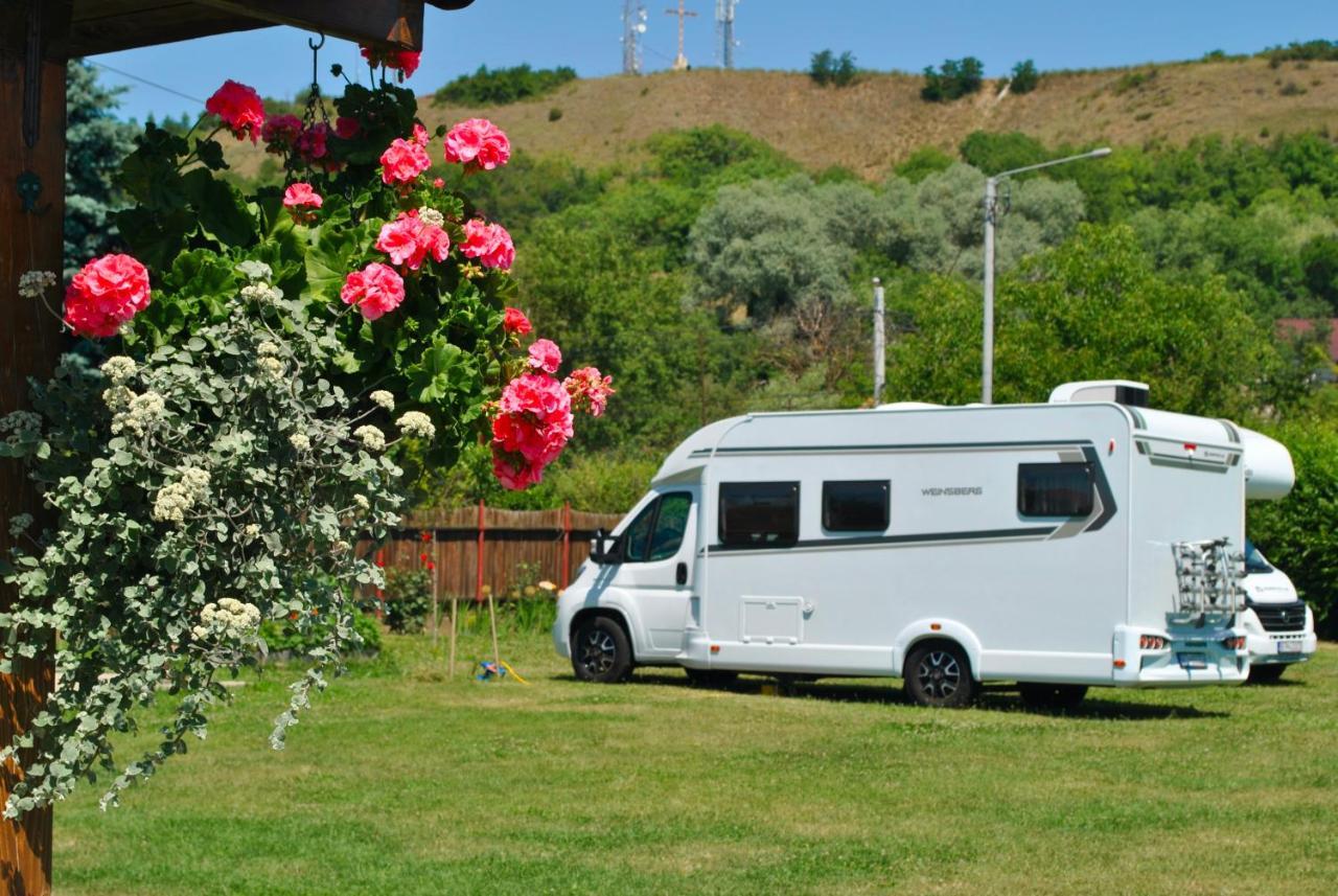 Camping La Foisor Turda Buitenkant foto