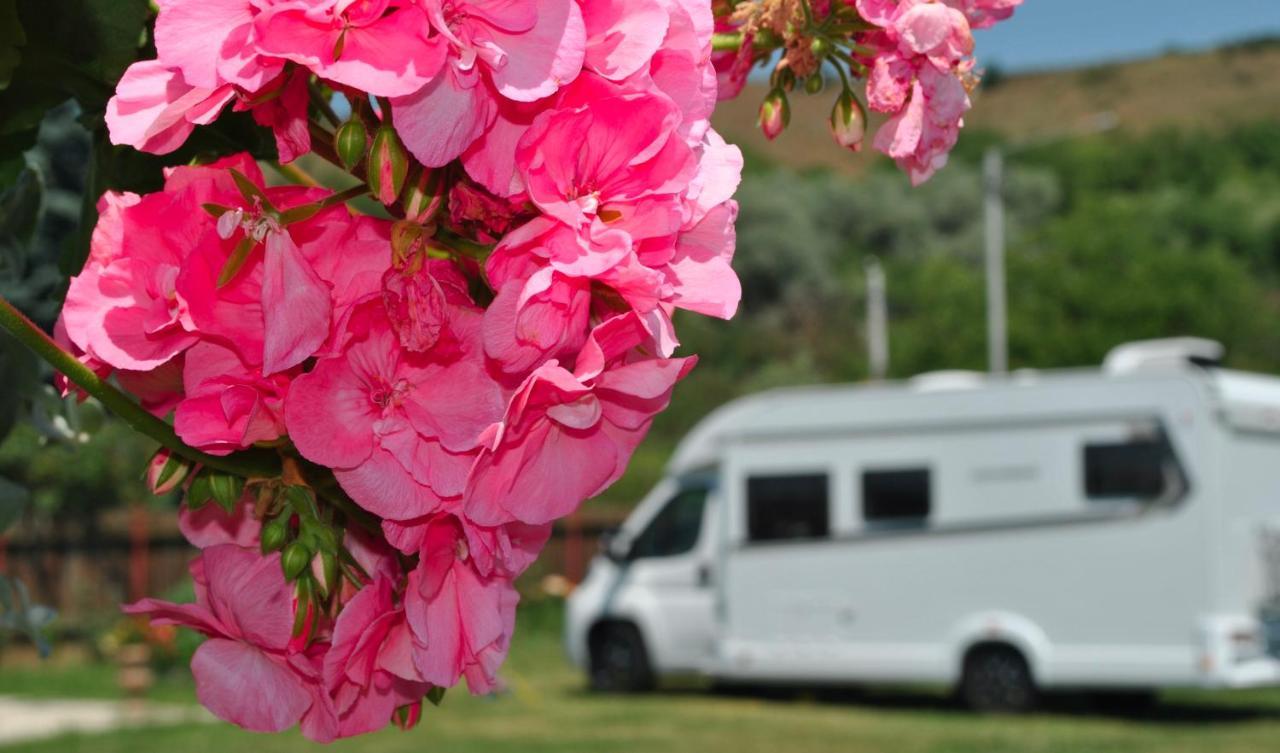Camping La Foisor Turda Buitenkant foto